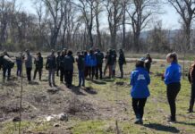 VIŠE OD MILION I DVESTA HILJADA SADNICA VIŠE OD MILION I DVESTA HILJADA SADNICA