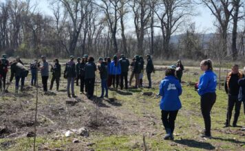 VIŠE OD MILION I DVESTA HILJADA SADNICA VIŠE OD MILION I DVESTA HILJADA SADNICA