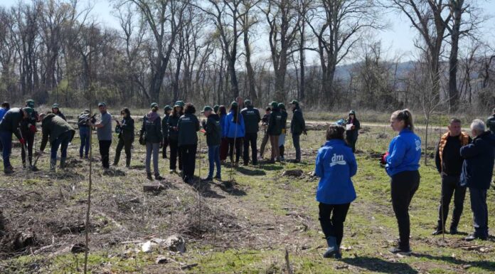 VIŠE OD MILION I DVESTA HILJADA SADNICA VIŠE OD MILION I DVESTA HILJADA SADNICA