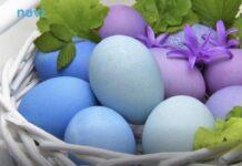 Zaboravite vještačke boje: Trik s kupusom daje najljepša uskršnja jaja Zaboravite vještačke boje: Trik s kupusom daje najljepša uskršnja jaja