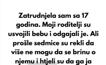 Zatrudnjela sam sa 17 godina. Moji roditelji su usvojili bebu i odgajali je. Zatrudnjela sam sa 17 godina. Moji roditelji su usvojili bebu i odgajali je.