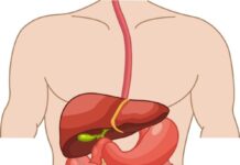 5 najboljih načina za čišćenje creva na prirodan način nakon 50. godine: Radiće kao sat 5 najboljih načina za čišćenje creva na prirodan način nakon 50. godine: Radiće kao sat