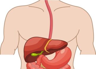 5 najboljih načina za čišćenje creva na prirodan način nakon 50. godine: Radiće kao sat 5 najboljih načina za čišćenje creva na prirodan način nakon 50. godine: Radiće kao sat