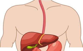 5 najboljih načina za čišćenje creva na prirodan način nakon 50. godine: Radiće kao sat 5 najboljih načina za čišćenje creva na prirodan način nakon 50. godine: Radiće kao sat