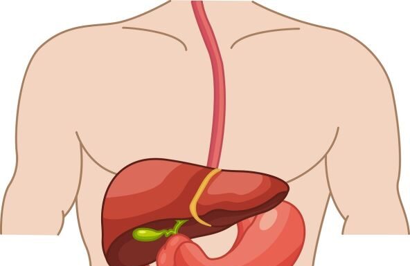 5 najboljih načina za čišćenje creva na prirodan način nakon 50. godine: Radiće kao sat 5 najboljih načina za čišćenje creva na prirodan način nakon 50. godine: Radiće kao sat