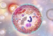 Ako ovo radite nakon 18h ozbiljno ugrožavate vaše zdravlje: Jedna naizled bezazlena navika može vas skupo koštati Ako ovo radite nakon 18h ozbiljno ugrožavate vaše zdravlje: Jedna naizled bezazlena navika može vas skupo koštati