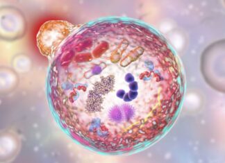 Ako ovo radite nakon 18h ozbiljno ugrožavate vaše zdravlje: Jedna naizled bezazlena navika može vas skupo koštati Ako ovo radite nakon 18h ozbiljno ugrožavate vaše zdravlje: Jedna naizled bezazlena navika može vas skupo koštati