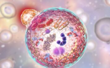 Ako ovo radite nakon 18h ozbiljno ugrožavate vaše zdravlje: Jedna naizled bezazlena navika može vas skupo koštati Ako ovo radite nakon 18h ozbiljno ugrožavate vaše zdravlje: Jedna naizled bezazlena navika može vas skupo koštati