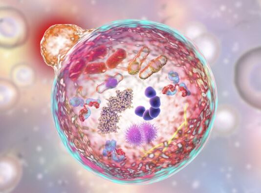 Ako ovo radite nakon 18h ozbiljno ugrožavate vaše zdravlje: Jedna naizled bezazlena navika može vas skupo koštati Ako ovo radite nakon 18h ozbiljno ugrožavate vaše zdravlje: Jedna naizled bezazlena navika može vas skupo koštati