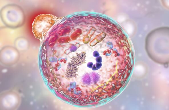 Ako ovo radite nakon 18h ozbiljno ugrožavate vaše zdravlje: Jedna naizled bezazlena navika može vas skupo koštati Ako ovo radite nakon 18h ozbiljno ugrožavate vaše zdravlje: Jedna naizled bezazlena navika može vas skupo koštati