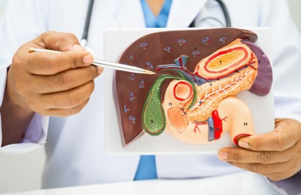 Bez ova 2 organa organizam savršeno funkcioniše: Često se operišu i nisu neophodni za preživljavanje Bez ova 2 organa organizam savršeno funkcioniše: Često se operišu i nisu neophodni za preživljavanje