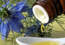 BILJKA KOJA LIJEČI “SVE OSIM SMRTI”: Njena ljekovitost jednostavno nema granice… BILJKA KOJA LIJEČI “SVE OSIM SMRTI”: Njena ljekovitost jednostavno nema granice…