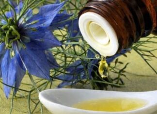 BILJKA KOJA LIJEČI “SVE OSIM SMRTI”: Njena ljekovitost jednostavno nema granice… BILJKA KOJA LIJEČI “SVE OSIM SMRTI”: Njena ljekovitost jednostavno nema granice…