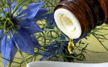 BILJKA KOJA LIJEČI “SVE OSIM SMRTI”: Njena ljekovitost jednostavno nema granice… BILJKA KOJA LIJEČI “SVE OSIM SMRTI”: Njena ljekovitost jednostavno nema granice…