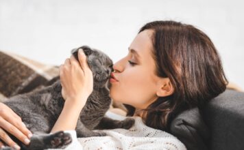 Da li je u redu poljubiti svog kućnog ljubimca Da li je u redu poljubiti svog kućnog ljubimca