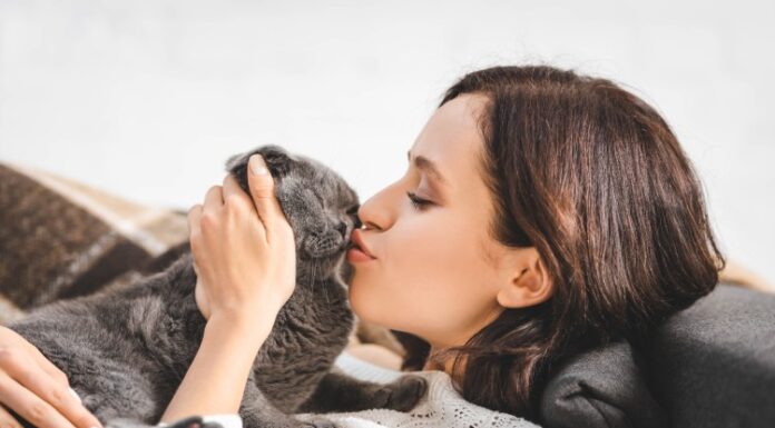 Da li je u redu poljubiti svog kućnog ljubimca Da li je u redu poljubiti svog kućnog ljubimca
