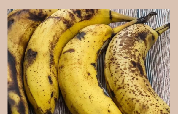 Da li vam banane prebrzo pocrne? Ovaj trik će ih duže održati svježima Da li vam banane prebrzo pocrne? Ovaj trik će ih duže održati svježima