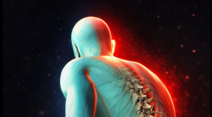 Diskus hernija: Ovih 6 vježbi će vam pomoći u izliječenju! Diskus hernija: Ovih 6 vježbi će vam pomoći u izliječenju!