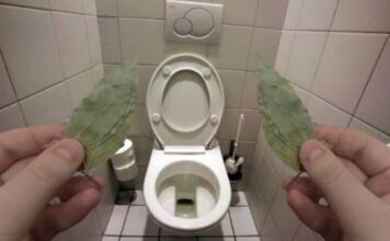 Evo zbog čega sam stavio lovorov list u WC: IZNENADIT ĆETE SE! Evo zbog čega sam stavio lovorov list u WC: IZNENADIT ĆETE SE!