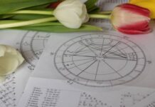 Horoskop za 20. april: Lavu neko remeti planove, Strelčeve očekuje spontani susret, a oni da pripaze da se ne posvađaju sa partnerom Horoskop za 20. april: Lavu neko remeti planove, Strelčeve očekuje spontani susret, a oni da pripaze da se ne posvađaju sa partnerom