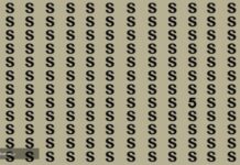 Imate samo 13 sekundi: Samo dva odsto ljudi može da riješi ovu mozgalicu Imate samo 13 sekundi: Samo dva odsto ljudi može da riješi ovu mozgalicu