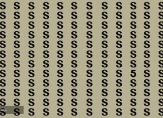 Imate samo 13 sekundi: Samo dva odsto ljudi može da riješi ovu mozgalicu Imate samo 13 sekundi: Samo dva odsto ljudi može da riješi ovu mozgalicu