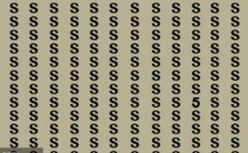 Imate samo 13 sekundi: Samo dva odsto ljudi može da riješi ovu mozgalicu Imate samo 13 sekundi: Samo dva odsto ljudi može da riješi ovu mozgalicu