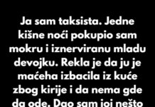 Ja sam taksista. Jedne kišne noći pokupio sam mokru i iznerviranu mladu devojku. Ja sam taksista. Jedne kišne noći pokupio sam mokru i iznerviranu mladu devojku.
