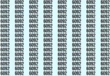 Jedan broj kvari savršeni niz: Možete li za 22 sekunde uočiti uljeza Jedan broj kvari savršeni niz: Možete li za 22 sekunde uočiti uljeza