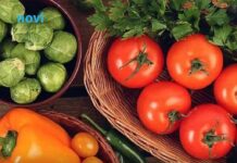 Jesu li pesticidi opasni? Stručnjaci otkrivaju šta zapravo znači “prljava lista” Jesu li pesticidi opasni? Stručnjaci otkrivaju šta zapravo znači “prljava lista”