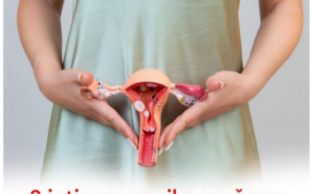 Kako zajedničke navike partnera utiču na intimno zdravlje Kako zajedničke navike partnera utiču na intimno zdravlje