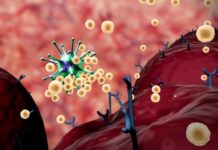 Ko ne bi smeo da jede jagode? Ljudi sa ovim zdravstvenim problemom treba da ih zaobilaze Ko ne bi smeo da jede jagode? Ljudi sa ovim zdravstvenim problemom treba da ih zaobilaze