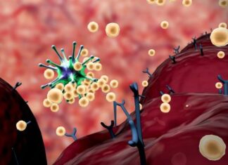 Ko ne bi smeo da jede jagode? Ljudi sa ovim zdravstvenim problemom treba da ih zaobilaze Ko ne bi smeo da jede jagode? Ljudi sa ovim zdravstvenim problemom treba da ih zaobilaze