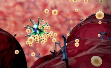 Ko ne bi smeo da jede jagode? Ljudi sa ovim zdravstvenim problemom treba da ih zaobilaze Ko ne bi smeo da jede jagode? Ljudi sa ovim zdravstvenim problemom treba da ih zaobilaze