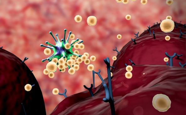 Ko ne bi smeo da jede jagode? Ljudi sa ovim zdravstvenim problemom treba da ih zaobilaze Ko ne bi smeo da jede jagode? Ljudi sa ovim zdravstvenim problemom treba da ih zaobilaze