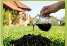 Krtice bježe od OVOGA: Jednu stvar stavite u rupu i travnjak je spašen! Krtice bježe od OVOGA: Jednu stvar stavite u rupu i travnjak je spašen!