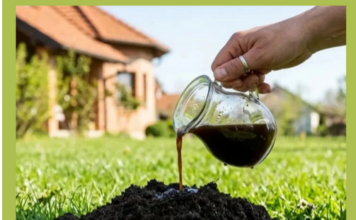 Krtice bježe od OVOGA: Jednu stvar stavite u rupu i travnjak je spašen! Krtice bježe od OVOGA: Jednu stvar stavite u rupu i travnjak je spašen!