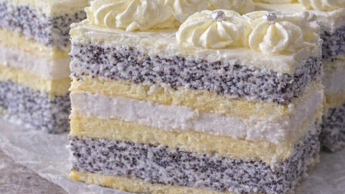 MAK KOCKE KOJE RUŠE INTERNET – jedan zalogaj i gotovi ste! MAK KOCKE KOJE RUŠE INTERNET – jedan zalogaj i gotovi ste!