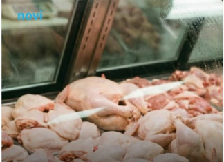 Mesar otkrio koji je najisplativiji komad piletine: Mnogi su se iznenadili Mesar otkrio koji je najisplativiji komad piletine: Mnogi su se iznenadili