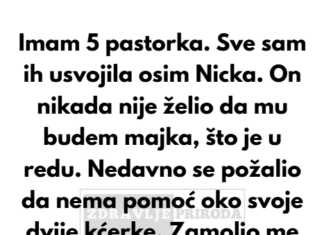 Moj pastorak je bijesan nakon što sam odbila da čuvam njegovu djecu — nisam besplatna dadilja. Moj pastorak je bijesan nakon što sam odbila da čuvam njegovu djecu — nisam besplatna dadilja.