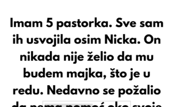 Moj pastorak je bijesan nakon što sam odbila da čuvam njegovu djecu — nisam besplatna dadilja. Moj pastorak je bijesan nakon što sam odbila da čuvam njegovu djecu — nisam besplatna dadilja.