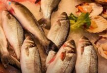 NAJGORA VRSTA RIBE: Razara srce i diže holesterol, svi je rado kupuju… NAJGORA VRSTA RIBE: Razara srce i diže holesterol, svi je rado kupuju…