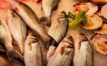 NAJGORA VRSTA RIBE: Razara srce i diže holesterol, svi je rado kupuju… NAJGORA VRSTA RIBE: Razara srce i diže holesterol, svi je rado kupuju…