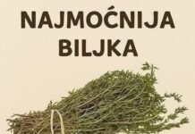 Najmoćnije bilje koje uništavaju parazite, infekcije urinarnog trakta I mjehura, herpesa I viruse gripe! Najmoćnije bilje koje uništavaju parazite, infekcije urinarnog trakta I mjehura, herpesa I viruse gripe!