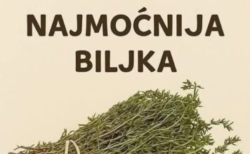 Najmoćnije bilje koje uništavaju parazite, infekcije urinarnog trakta I mjehura, herpesa I viruse gripe! Najmoćnije bilje koje uništavaju parazite, infekcije urinarnog trakta I mjehura, herpesa I viruse gripe!