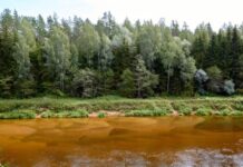 Nastavnica biologije vodila 32 dece na izlet u šumu kad je nestala bez traga: 6 meseci kasnije u skrivenoj šupi pronalaze njen dnevnik sa zapisom koji ledi krv Nastavnica biologije vodila 32 dece na izlet u šumu kad je nestala bez traga: 6 meseci kasnije u skrivenoj šupi pronalaze njen dnevnik sa zapisom koji ledi krv