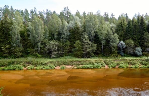 Nastavnica biologije vodila 32 dece na izlet u šumu kad je nestala bez traga: 6 meseci kasnije u skrivenoj šupi pronalaze njen dnevnik sa zapisom koji ledi krv Nastavnica biologije vodila 32 dece na izlet u šumu kad je nestala bez traga: 6 meseci kasnije u skrivenoj šupi pronalaze njen dnevnik sa zapisom koji ledi krv
