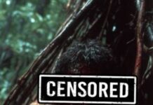 Naučnik je pre 20 godina otišao u džunglu i nestao nakon jedne tropske oluje: 6 godina kasnije rečna obala otkriva jezivu istinu o plemenu koje ga je zarobilo Naučnik je pre 20 godina otišao u džunglu i nestao nakon jedne tropske oluje: 6 godina kasnije rečna obala otkriva jezivu istinu o plemenu koje ga je zarobilo