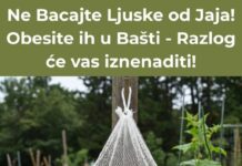NE BACAJTE LJUSKE OD JAJA – OBEsite IH U BAŠTI I DOGODIĆE SE ČUDO! NE BACAJTE LJUSKE OD JAJA – OBEsite IH U BAŠTI I DOGODIĆE SE ČUDO!