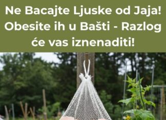 NE BACAJTE LJUSKE OD JAJA – OBEsite IH U BAŠTI I DOGODIĆE SE ČUDO! NE BACAJTE LJUSKE OD JAJA – OBEsite IH U BAŠTI I DOGODIĆE SE ČUDO!